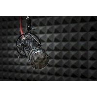 Broadcast mikrofonra lenne szükséged?